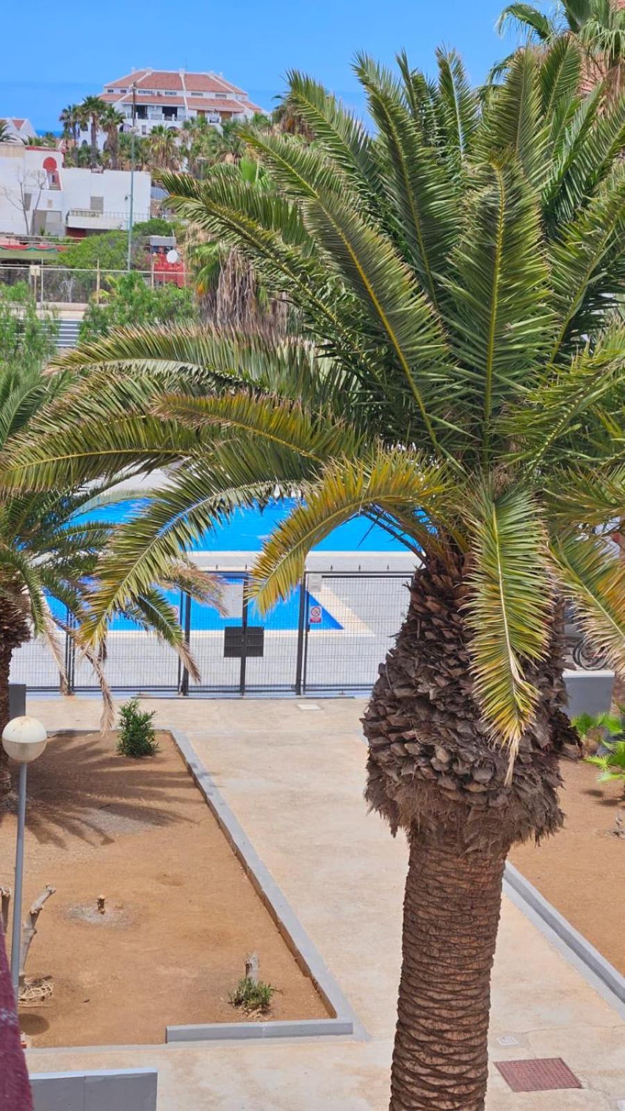 Paraiso Altemar, Duplex Las Americas Playa de las Americas (Tenerife) Exterior foto
